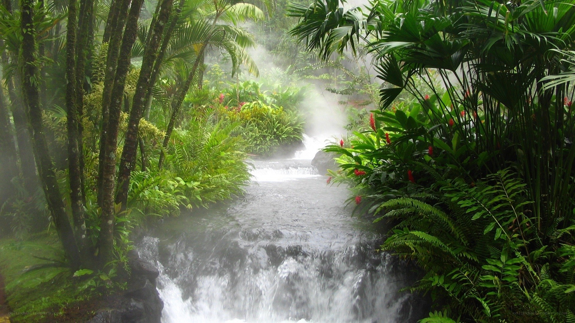 Tropical waterfall in misty jungle
