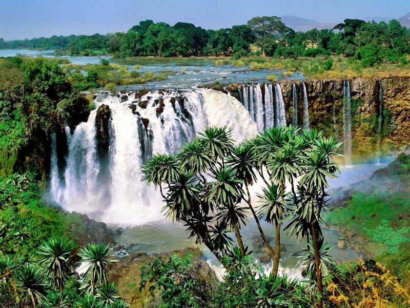 Tropical Waterfall Landscape — Green, Serene