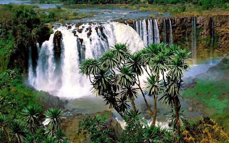 Tropical Waterfall Landscape — Green