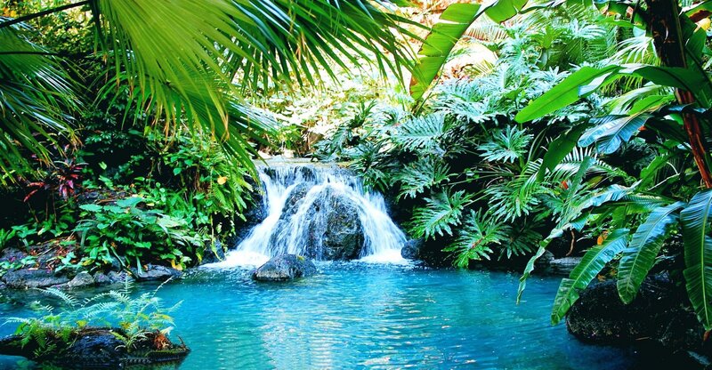 Tropical Waterfall Pool — Green, Serene, Afternoon, Photograph