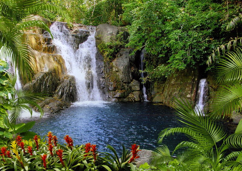 Tropical Waterfall Pool — Green, Serene, Afternoon