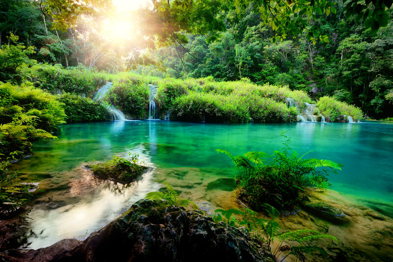 Tropical Waterfall Pool — Green, Serene, Morning