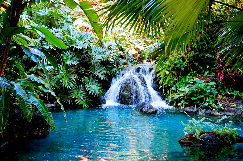 Tropical Waterfall Pool