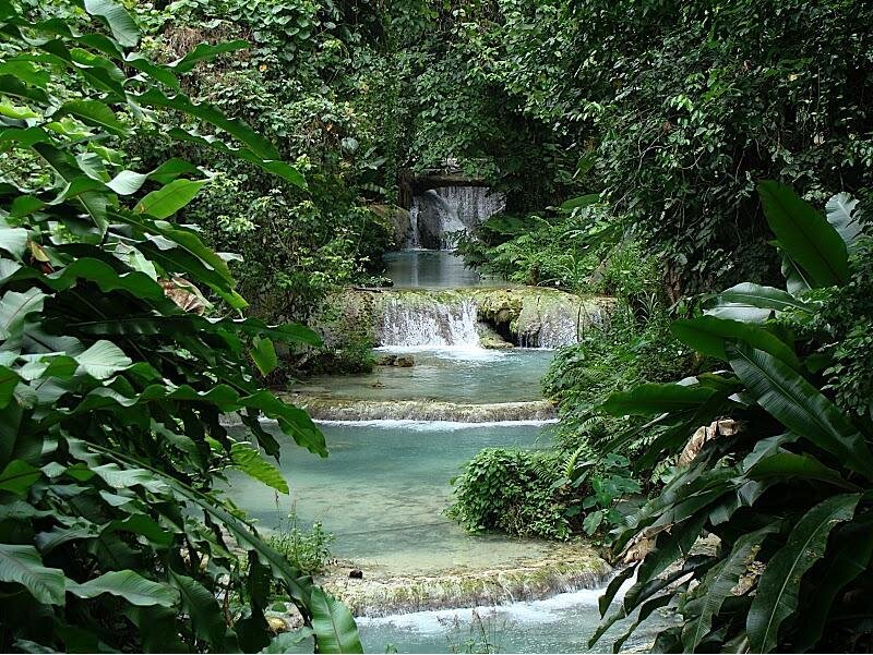 Tropical Waterfall Stream