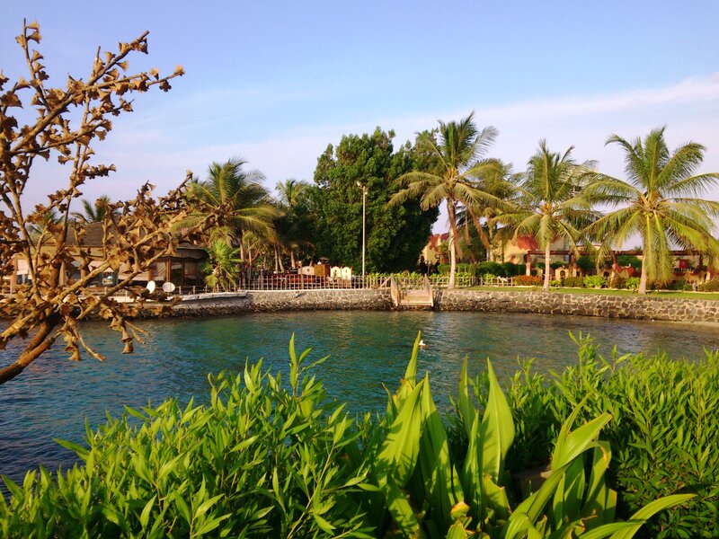 Tropical Waterfront Scene