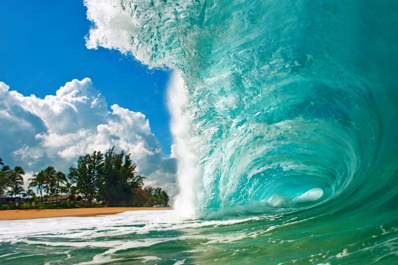 Tropical Wave Curling — Blue