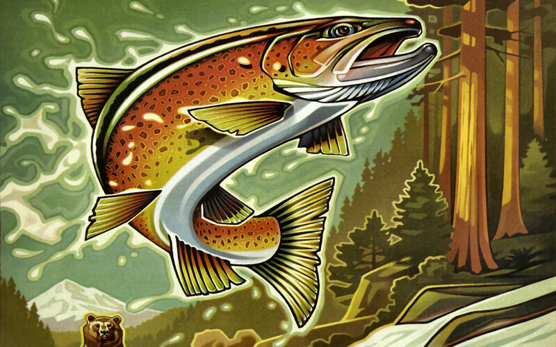 Trout Jumping in River