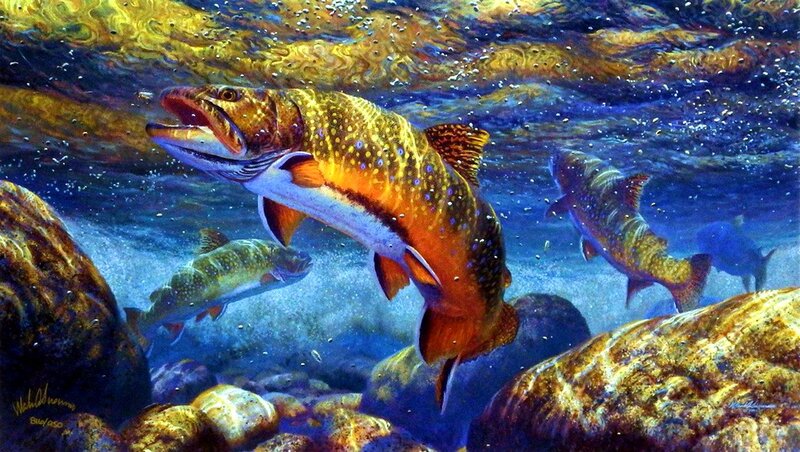 Trout Swimming Underwater
