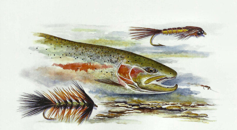 Trout with Fishing Flies