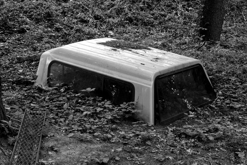 Truck Cap in Forest