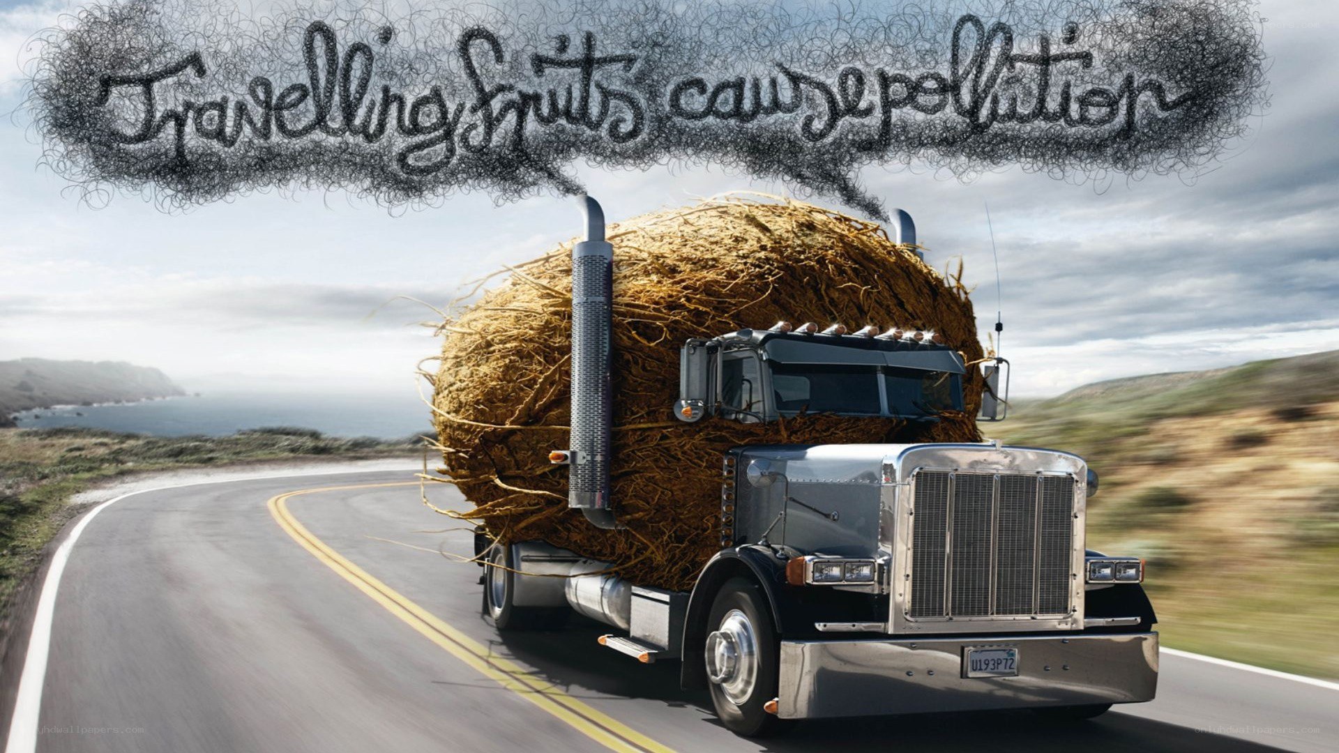Truck carrying giant coconut