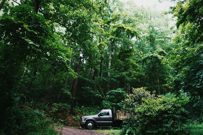 Truck in a forest clearing