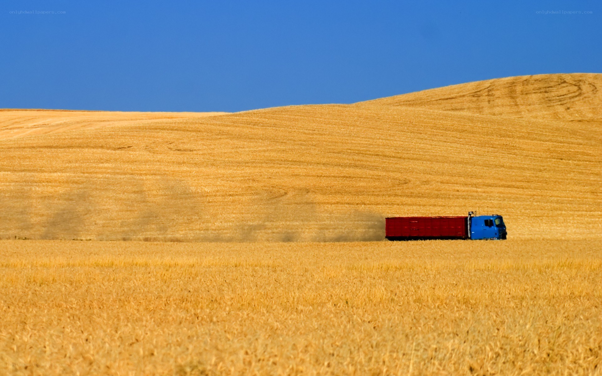 Truck in a golden field