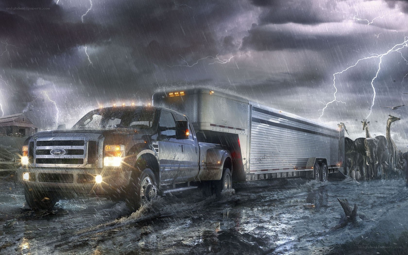 Truck in storm with animals
