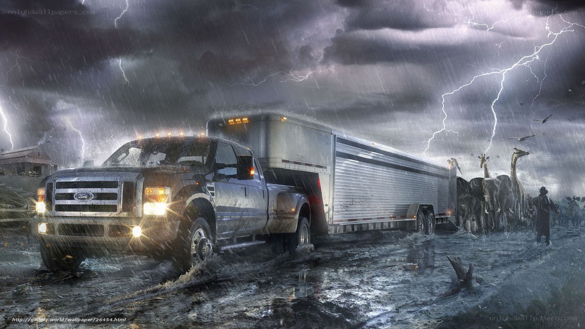 Truck in storm with animals