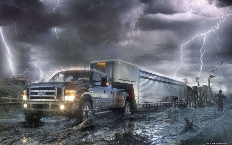 Truck in storm with animals