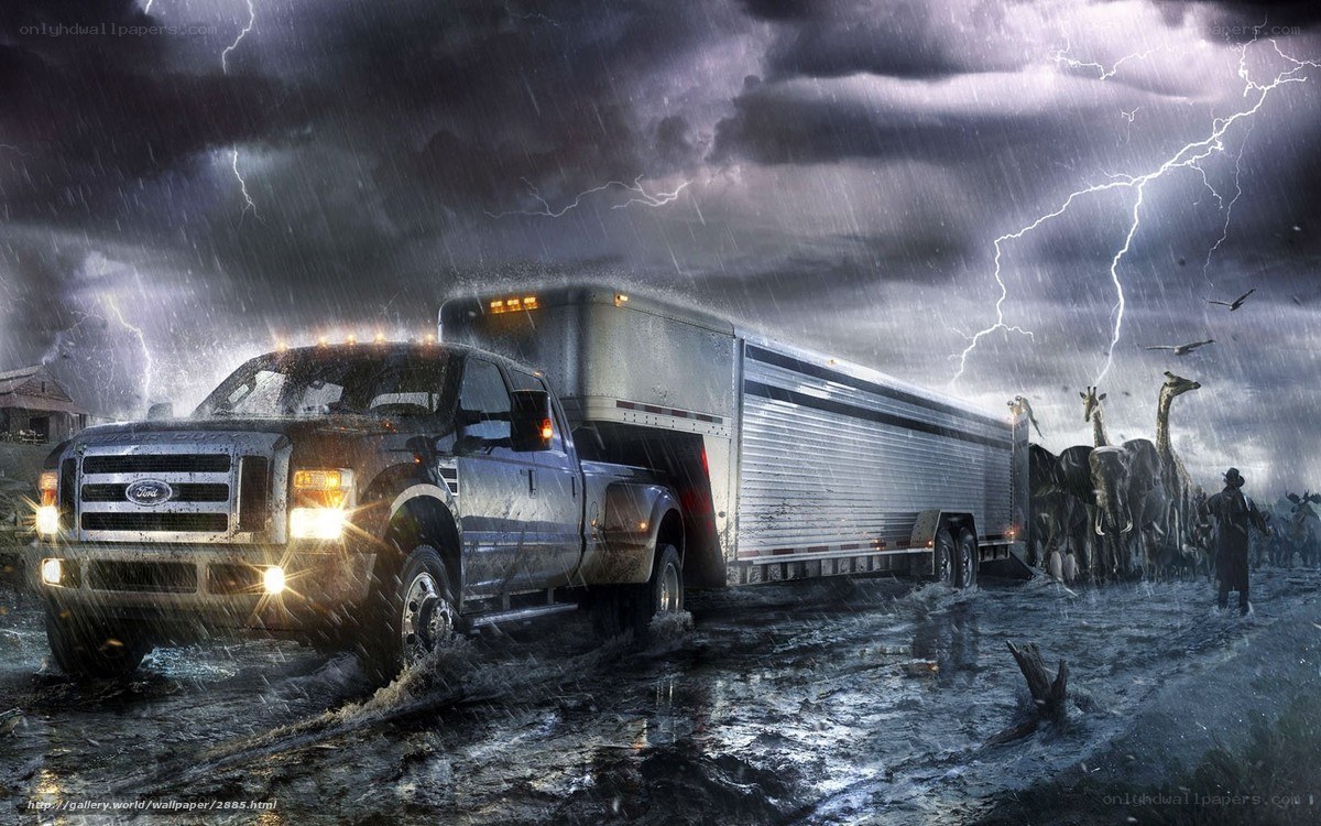 Truck in storm with animals