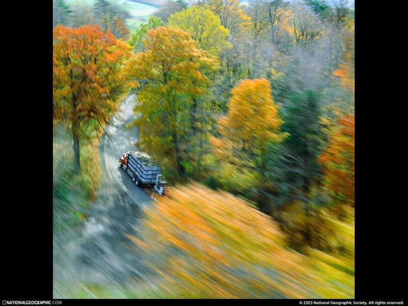 Truck on autumn road