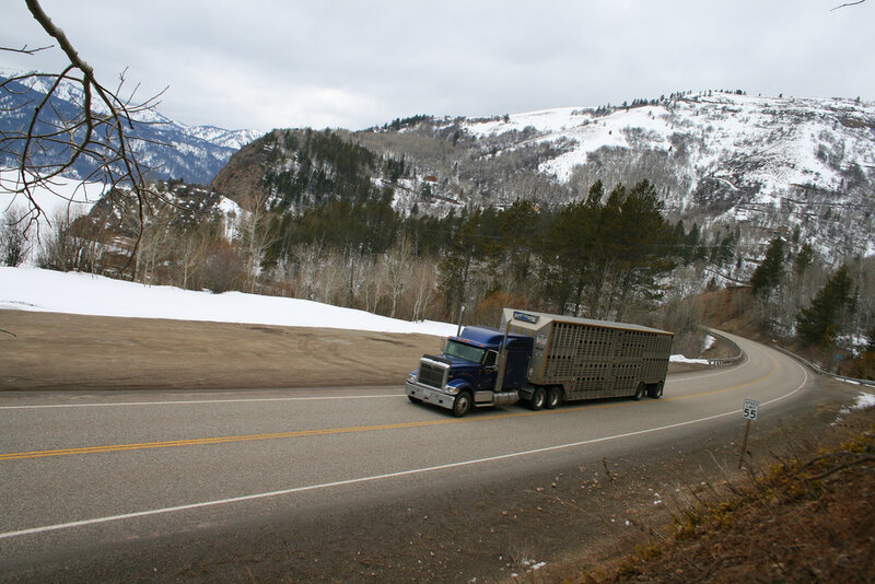 Truck on mountain road