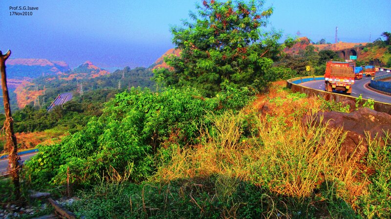 Truck on Winding Road