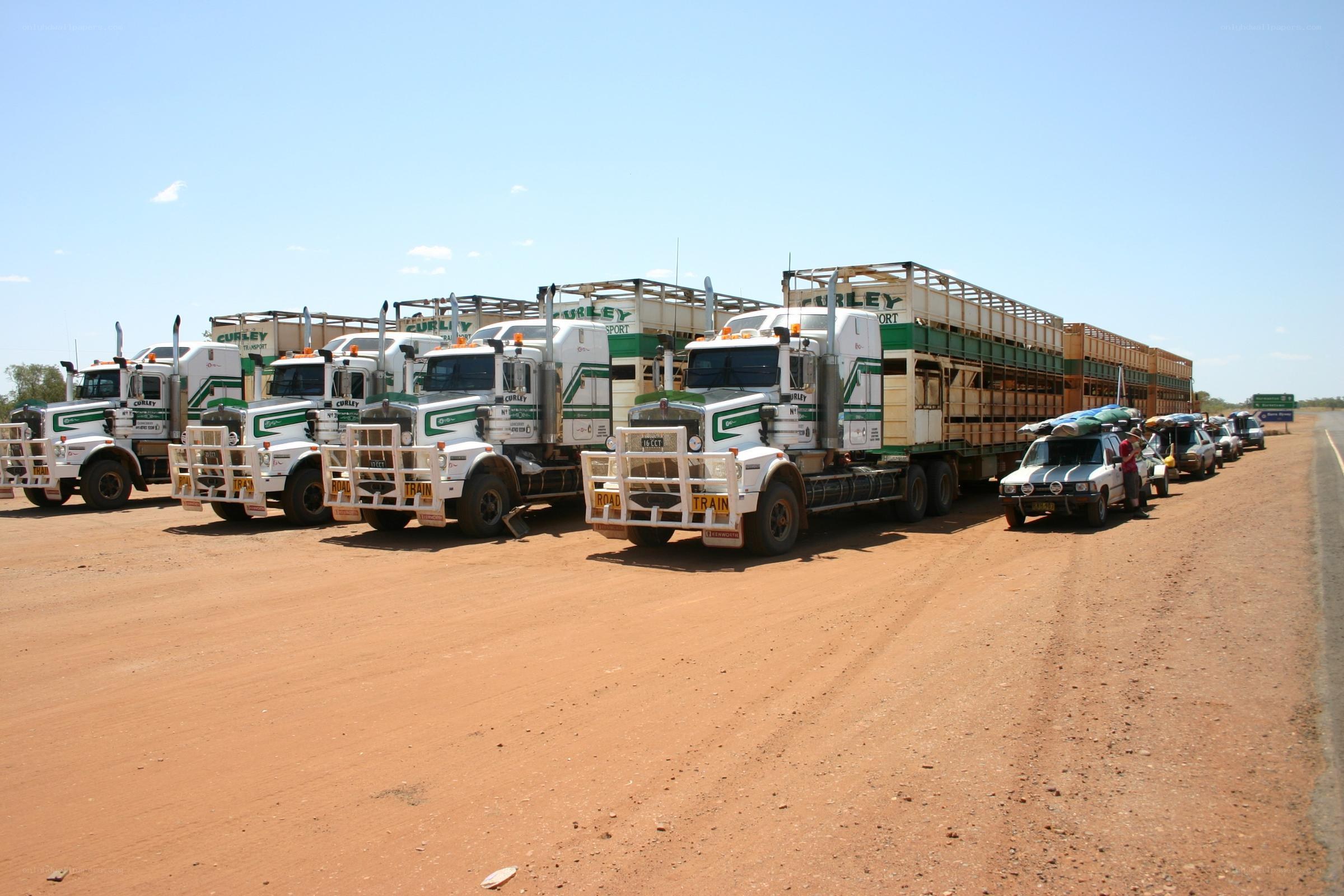 Trucks lined up on a dirt road