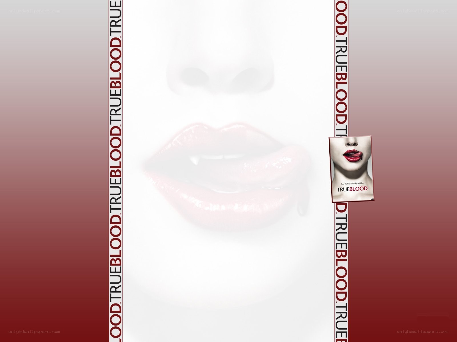 True Blood promotional artwork