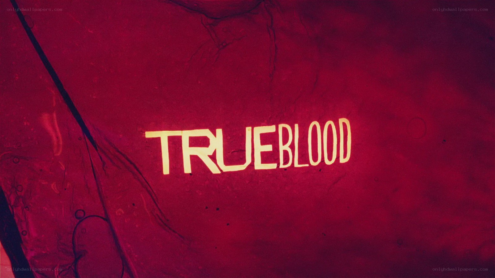 True Blood title card
