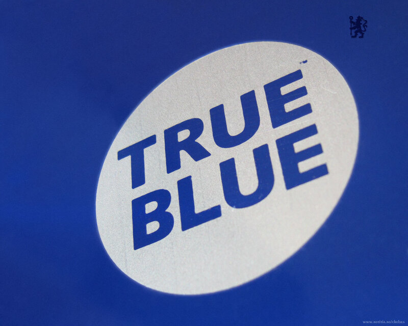 True Blue logo