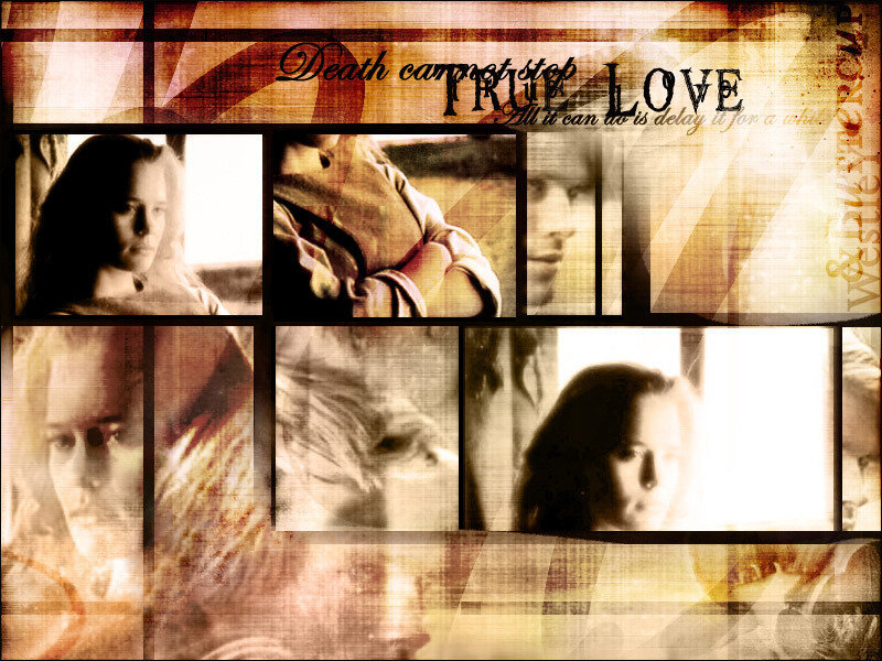 True Love collage