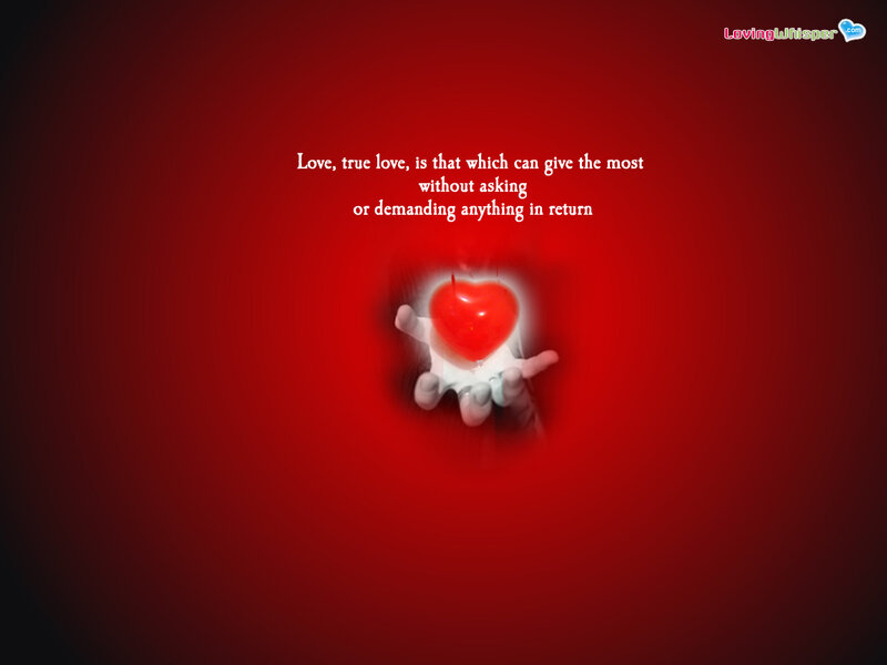 True love quote image