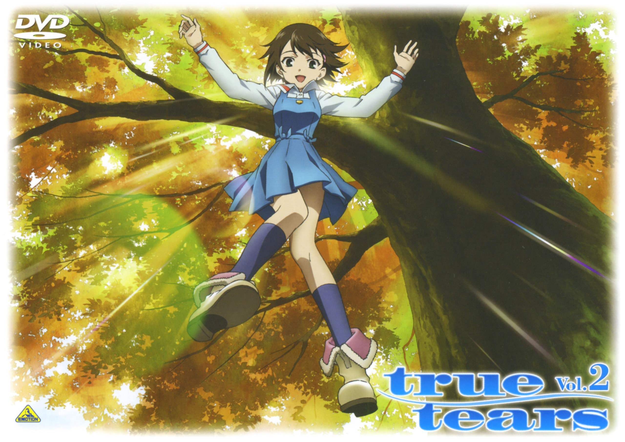 True Tears Vol. 2 cover art