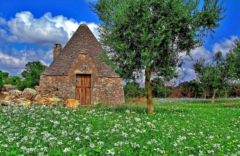 Trulli House in Field