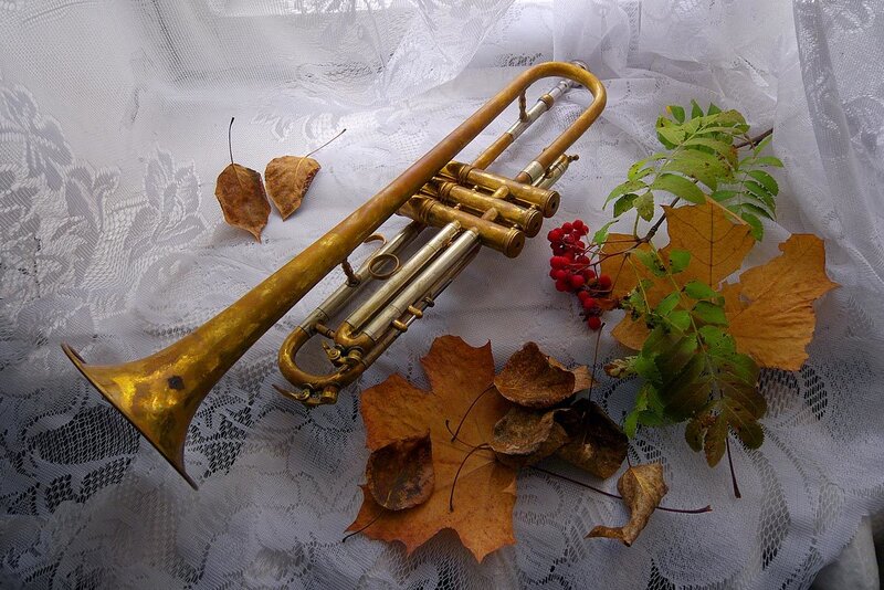Trumpet with autumn leaves