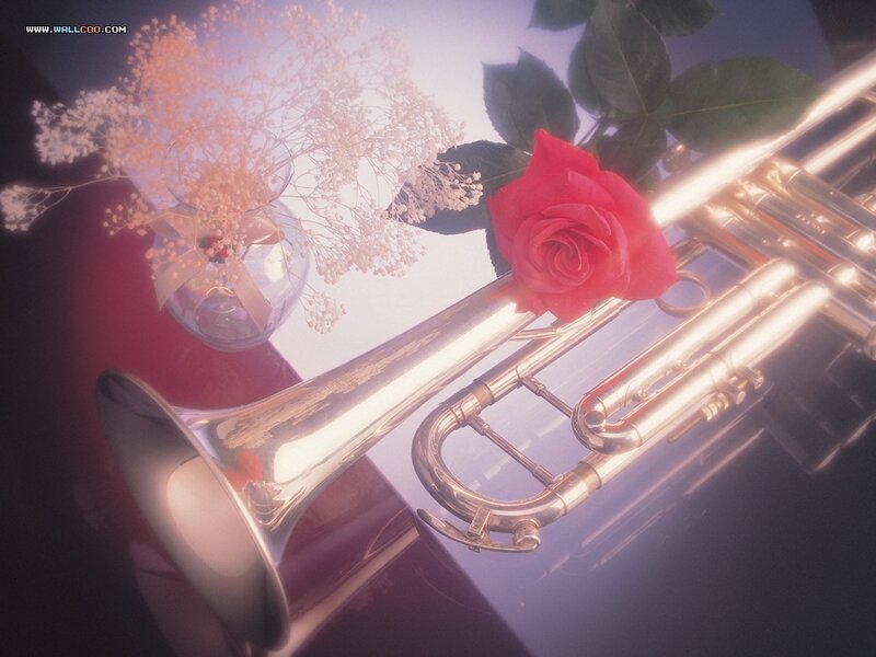 Trumpet with Rose