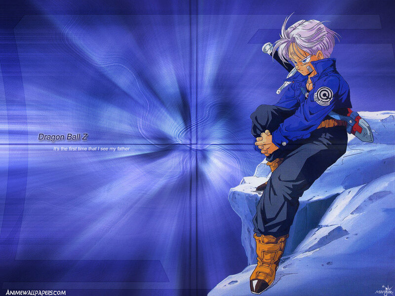 Trunks on a cliff