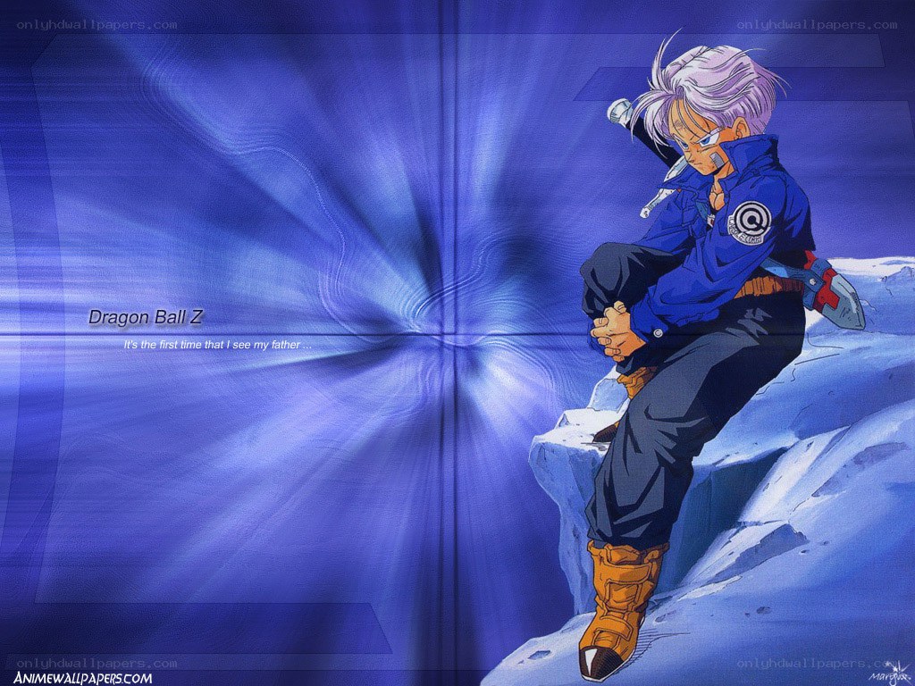 Trunks on a cliff