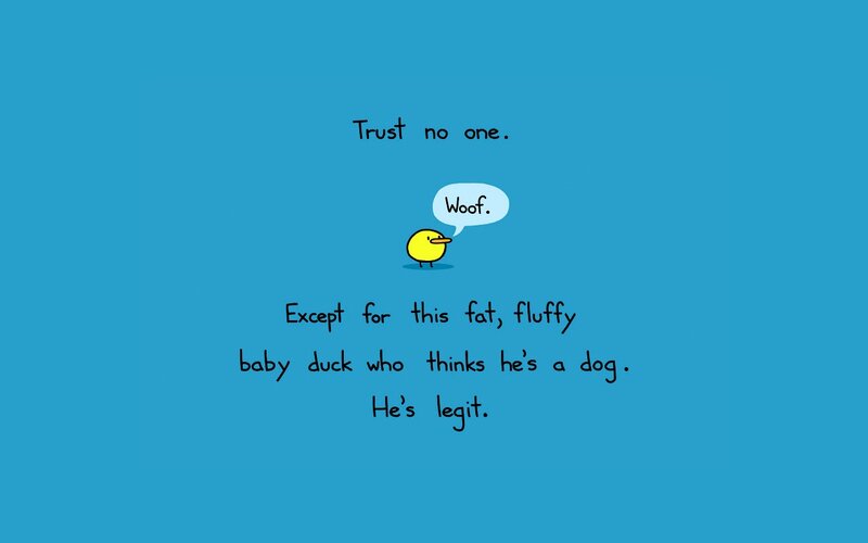 Trust no one but the duck