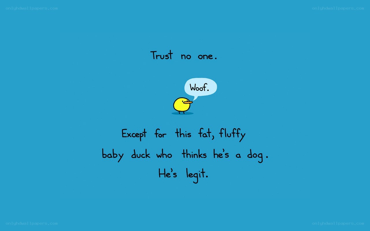 Trust no one but the duck