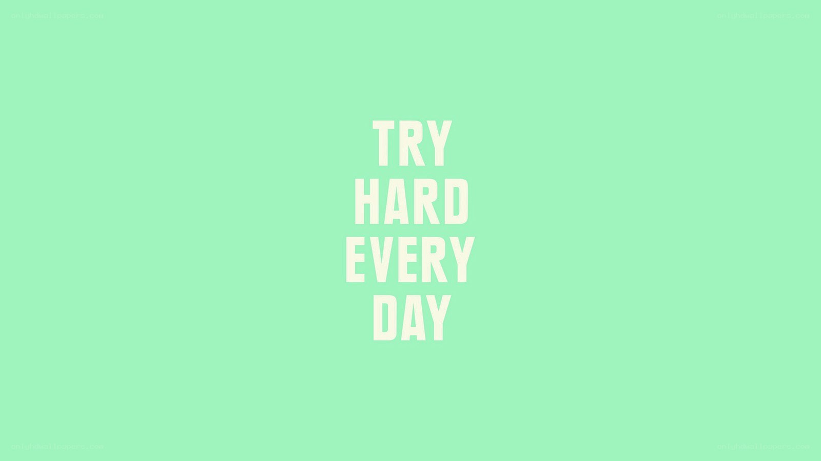 try hard every day