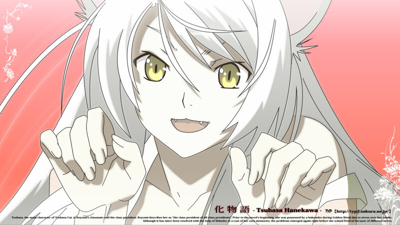 Tsubasa Hanekawa character art