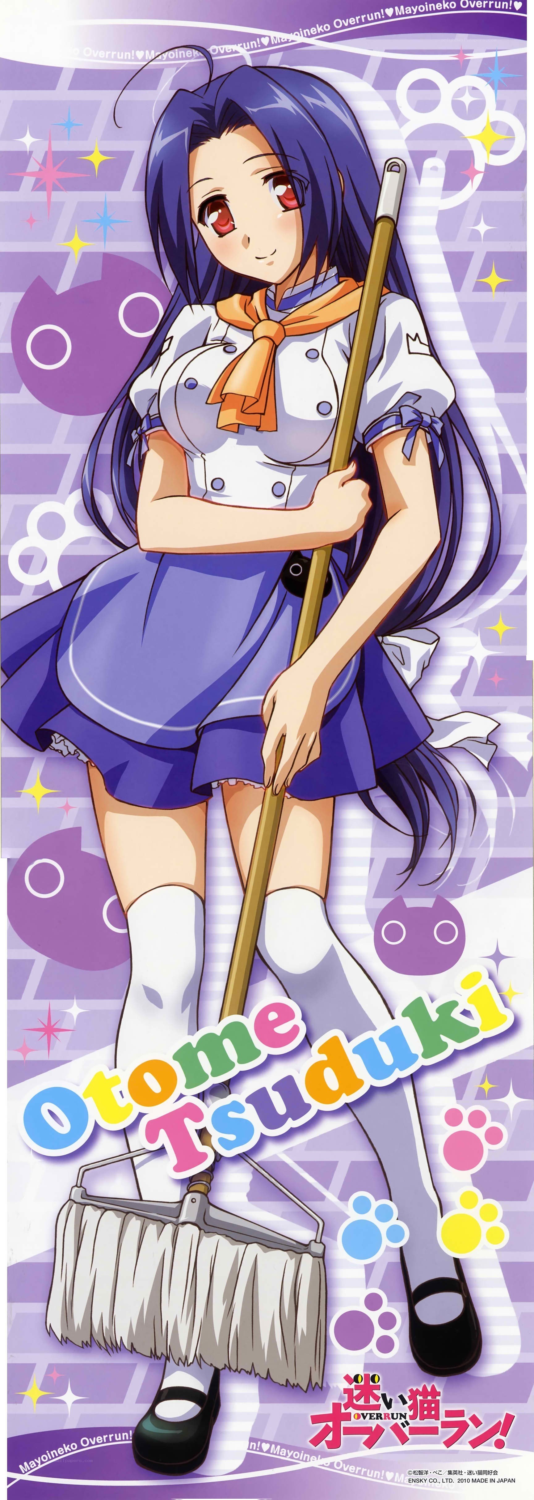 Tsuduki Otome character art