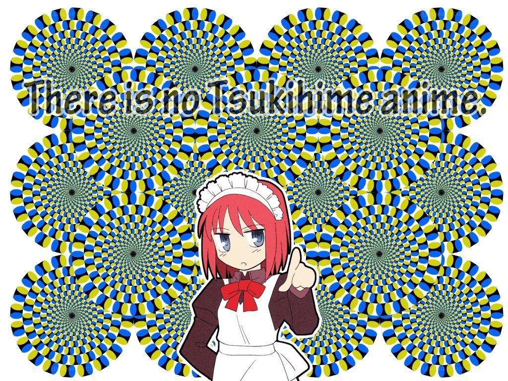 Tsukihime anime absence