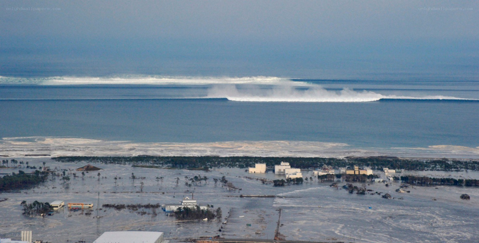 Tsunami hitting coastal area