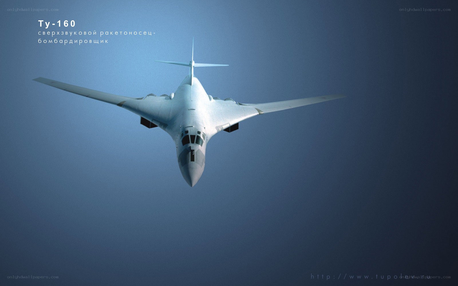 Tu-160 bomber aircraft