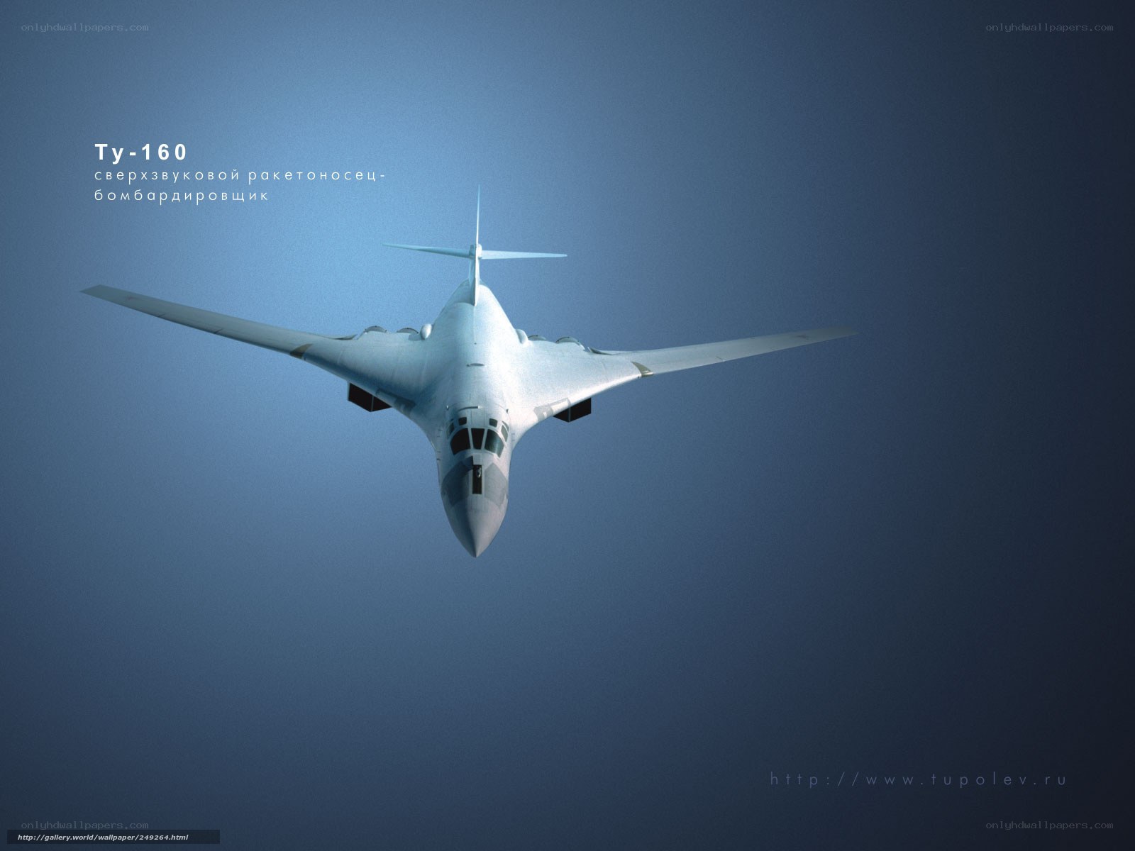 Tu-160 bomber aircraft