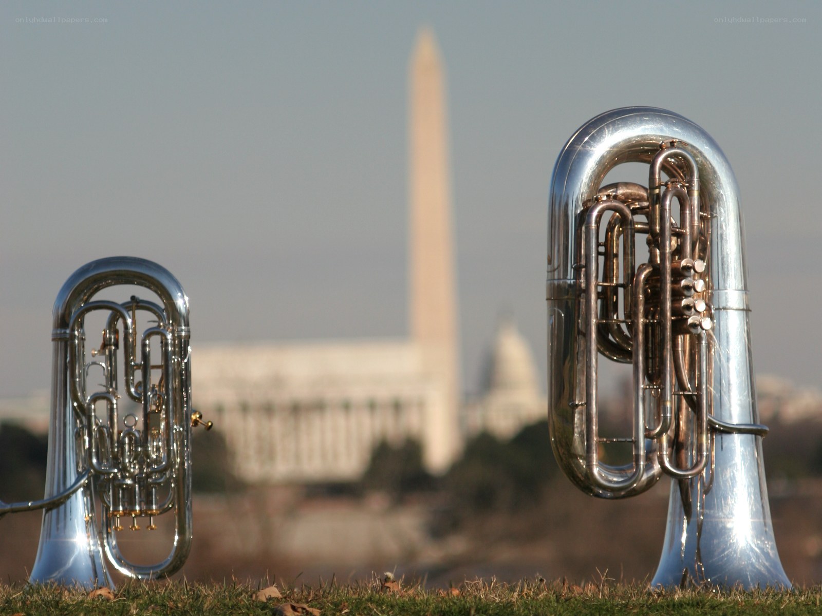 Tubas with Washington Monument