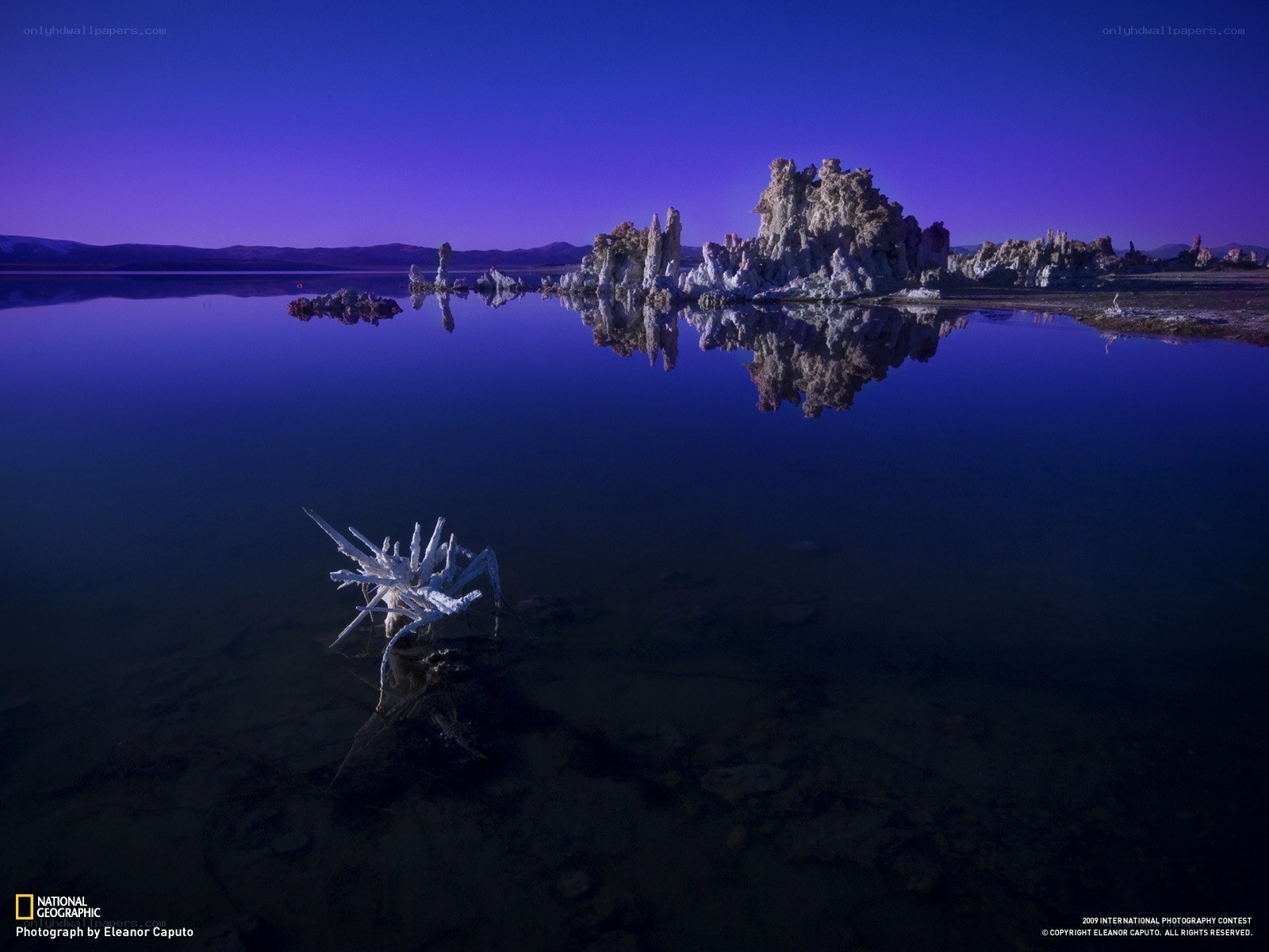 Tufa formations at Mono Lake