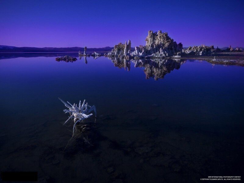 Tufa formations at Mono Lake