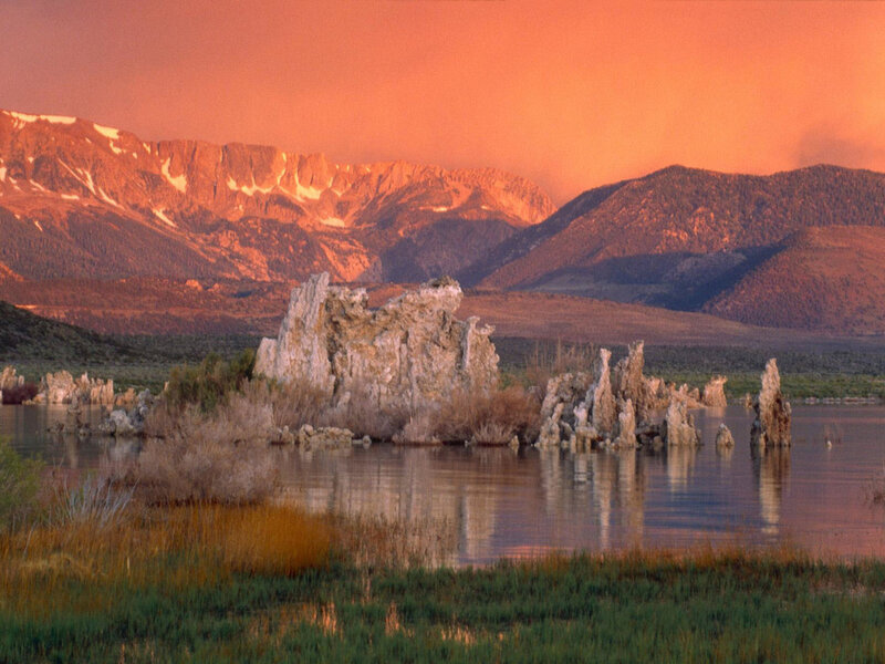 Tufa Formations in Lake — Orange
