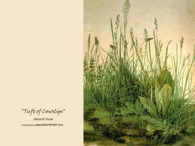 Tuft of Cowslips
